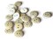20 13mm Yellow Tartan Plaid Two Hole Round Buttons White Wooden Buttons